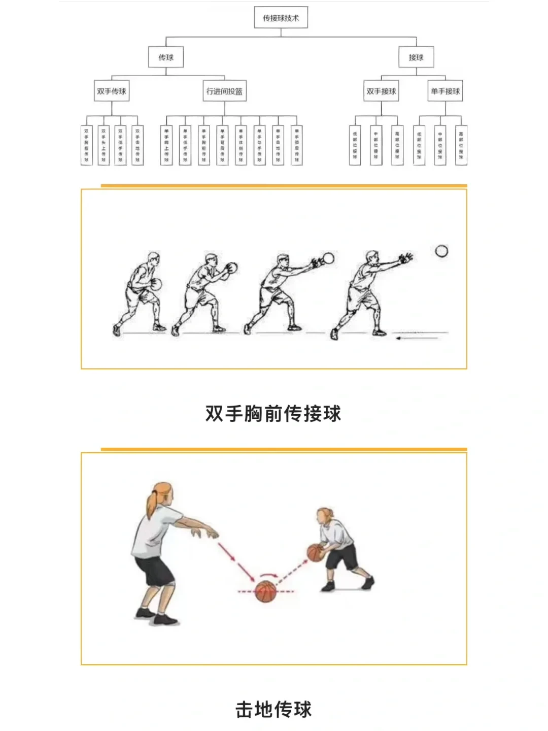 篮球训练营结课总结范文_2